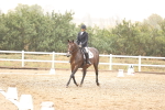 SBM_004700