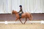SBM_001037