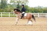 SBM_006454