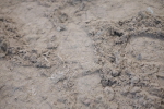 SBM_000049