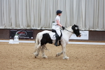 SBM_009313