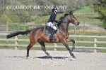 BPP_2870