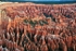 Bryce Amphitheater