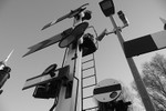 IMG_3420BW