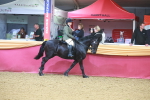 SBM_09629