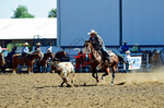 3HRodeo8-11-25_PRCASteer_00624_