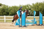 SBM_009017