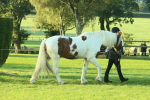 SBM_57323