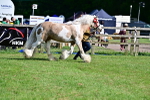 SBM_10142