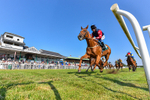 150726-Race 6-Our Absent Friends-3249