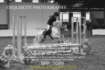 BPP_7099