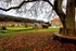 Autumn View