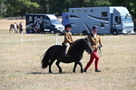 WJ6_7711