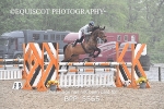 BPP_5565