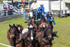 Marlie 11 Horse Draft Team 6. 0A3A9163