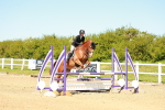 SBM_000931