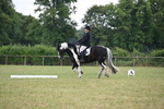 WJ6_6637