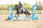 SBM_001284