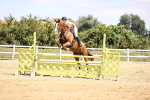 SBM_008060