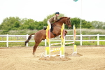 SBM_000574