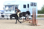 SBM_12138