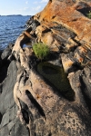 GeorgianBay11-013