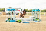 SBM_018307