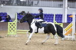SBM_003937
