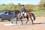 BPP_9565
