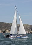 090913 AGAPANTHA IMG_5889