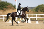 SBM_008527