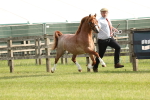 SBM_00394