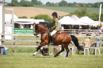 SBM_06961