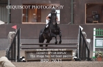 BPP_7631