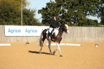 SBM_16435