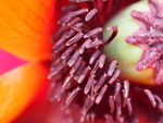 P6140099