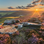 Derwent Edge Sunset Heather