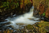 The Salmon Ladder