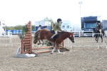 SBM_11271