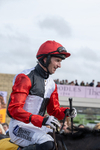 130326-Race 1-Apolon De Charnie-1463