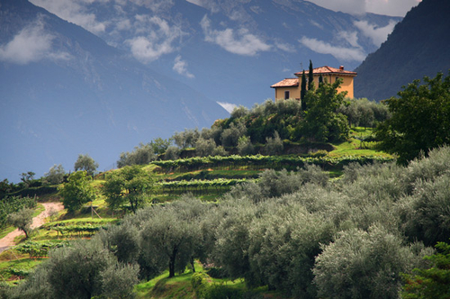 [align=center][size=11][b]Riva del Garda countryside, Lake Garda, Italy[/size][/b]

Taking a photograph with my han…