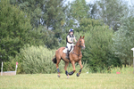 WJ6_2918