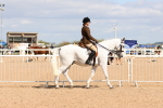 SBM_13160