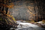 Ruardean Woodside