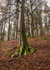 4896 Glen Clova, near Glenarm
