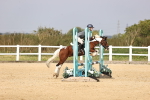 SBM_002087