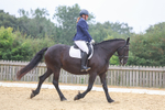 Pendarves Summer Series Dressage 03.08.2025 portfolio