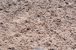 250427-090104-14804