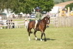 SBM_09215