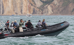 150816 FASTNET RACE SEADOGZ WT7A1019
